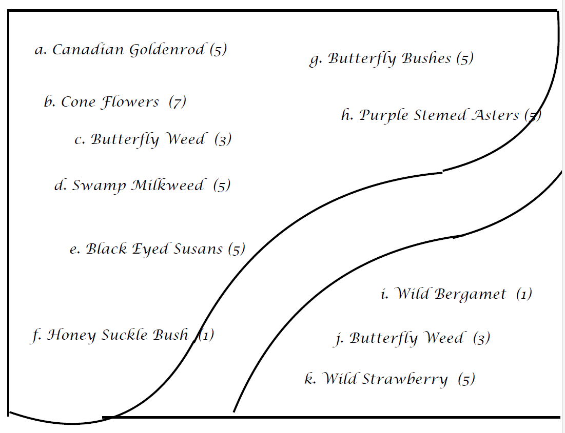 Pollinators Plan Pollinator Garden – Join the Buzz! – Unionville Presbyterian Church